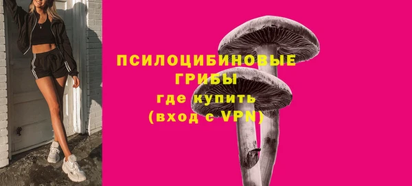 ГАЛЛЮЦИНОГЕННЫЕ ГРИБЫ Баксан
