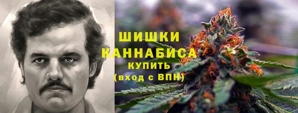 ГАЛЛЮЦИНОГЕННЫЕ ГРИБЫ Баксан